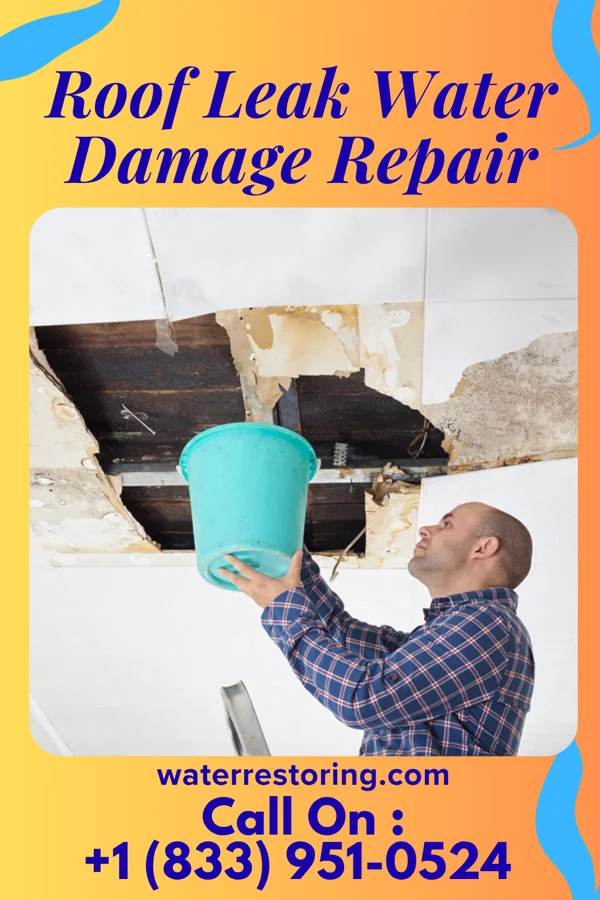 Roof Leak Water Damage Repair in Greendale, WI