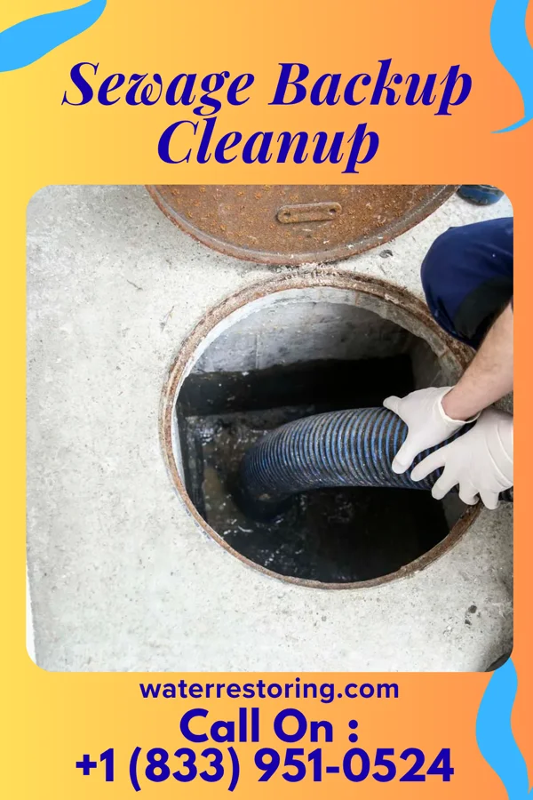 Sewage Backup Cleanup in Greendale, WI